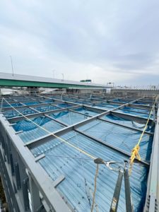 LINE_ALBUM_2025.7川上きかい_260115_3