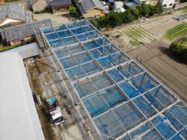 41B5EFE7-A66A-4505-B4CF-70D2DA02AC3D